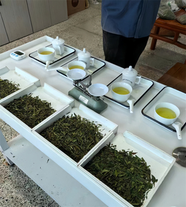 Muestra Gratis <span class=keywords><strong>de</strong></span> Hojas <span class=keywords><strong>de</strong></span> Té Verde Longjing del Lago Oeste, Té Orgánico <span class=keywords><strong>de</strong></span> Hangzhou Long Jing a Granel, Té Saludable en Caja Nueva - Product Image 3