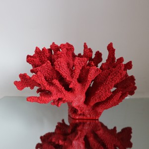 Statue en corail rouge en polyrésine, sculpture en résine, <span class=keywords><strong>décoration</strong></span> <span class=keywords><strong>marine</strong></span> artificielle écologique pour la maison, cadeaux d'anniversaire - Product Image 2
