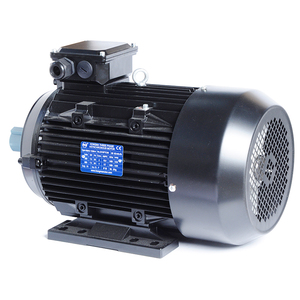 Motor de Inducción Trifásico IE4, 132 mm, 7.5KW, Protección IP55, Aplicaciones para Montacargas, Bobinado de Hilo, Molinos de Arroz, 380V - Product Image 2