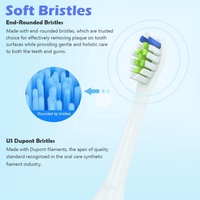 Têtes de brosse de rechange électriques YBK, 8 unités, emballées individuellement, avec capuchon hygiénique, pour voyage, blanchiment, nettoyage domestique