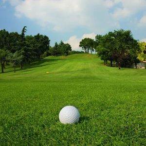 Tapis de <span class=keywords><strong>gazon</strong></span> <span class=keywords><strong>synthétique</strong></span> naturel bon marché en gros pour <span class=keywords><strong>gazon</strong></span> artificiel de qualité de décoration de mur d'arrière-cour de terrain de sport - Product Image 6