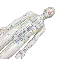 Acupuncture Chinoise Modèle Famale Corps pour Méridien et Points Extraordinaires 48cm