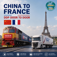 Transitaire Amazon FBA France : Agent d'expédition Chine-France DDP, consolidation porte-à-porte par mer, air, rail et camionnage