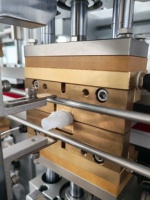 Machine d'insertion et de scellage de sachets à bec en plastique, entièrement automatique, numérique, pneumatique, PLC, 220V, haute productivité, personnalisée, SHANG YAN
