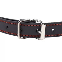 Bâton de marche en PVC pour femme, motif os de chien, accessoire de personnage - En stock