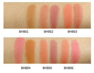 自有品牌腮红二朵腮红调色板桃色霜妆天然美白特色黑色脸颊轮廓腮红化妆品 - Product Image 4