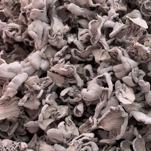 Blanc Naturel Fente Gill Schizophyllum commune <span class=keywords><strong>champignons</strong></span> sauvage séché blanc Fente Gill champignon à vendre - Product Image 1