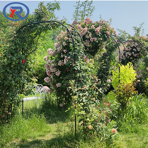 Arche de treillis de jardin en métal <span class=keywords><strong>pour</strong></span> l'extérieur Arche décorative de mariage avec plantes à fleurs Support d'escalade Arche de jardin - Product Image 4