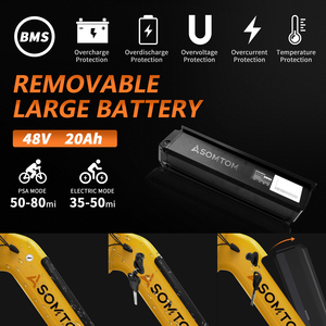 Trung Quốc Cung Cấp Cá Voi-24 3.0 Vận Chuyển Hàng Hóa Điện Ba Bánh 3-Bánh Xe Chất Béo Xe Đạp 48V 500W Giữa Ổ Đĩa 15AH Pin Hợp Kim Nhôm 7 Tốc Độ - Product Image 6