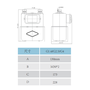 ZHONGYI G1.6 G2.5 G4 Medidor de gas de diafragma Nivel de membrana de carcasa de acero 1,5 Precisión 1 año de garantía OEM - Product Image 6