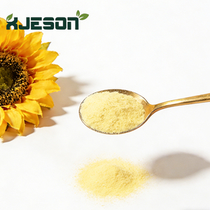 Poudre d'extrait pur de graines de tournesol en promotion – Lécithine de tournesol instantanée à 95 % de phosphatidylcholine - Product Image 2