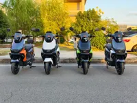 Scooter électrique pour adultes Star Shark II 800W, fourni directement par l'usine, avec batterie 60V/72V 30Ah