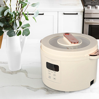 Cuiseur électrique silencieux multi-riz Outil de cuisine domestique avec fonction de séparation de la soupe Boîtier en plastique à usage domestique