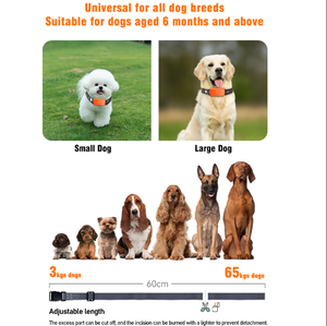 2025 plus récent <span class=keywords><strong>prix</strong></span> d'usine OEM disponible <span class=keywords><strong>collier</strong></span> de dressage de chien étanche Rechargeable <span class=keywords><strong>collier</strong></span> de contrôle des aboiements de chien <span class=keywords><strong>collier</strong></span> <span class=keywords><strong>Anti</strong></span>-<span class=keywords><strong>aboiement</strong></span> - Product Image 3