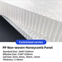 Panneau en plastique composite alvéolaire PP résistant à l'humidité, matériau alternatif pour la maintenance des cabines, les portes et les plaques de couverture de rangement
