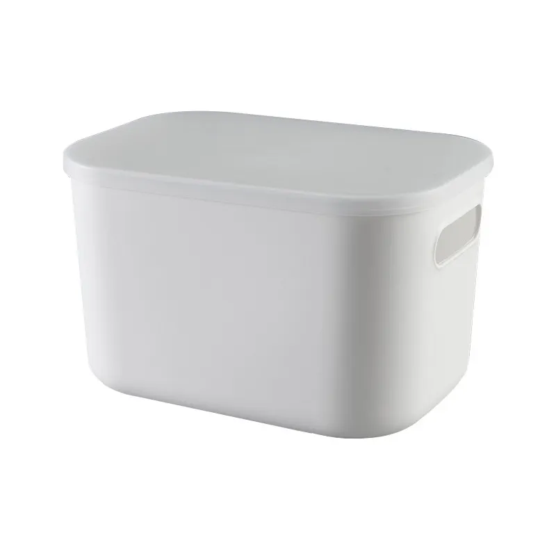 URU Wholesale Daily Necessity Durable Plastic Storage Box with Two Type Lids