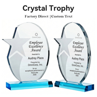 Trophée en cristal étoile filante personnalisé, plaque de reconnaissance d'entreprise en verre givré au design moderne
