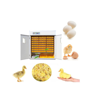 Incubadora Multifuncional de Alta Calidad, Incubadora de Huevos a Bajo Precio - Product Image 5