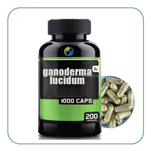 Ekstrak jamur cordyceps China <span class=keywords><strong>ganoderma</strong></span> <span class=keywords><strong>lucidum</strong></span> kapsul suplemen <span class=keywords><strong>ganoderma</strong></span> <span class=keywords><strong>lucidum</strong></span> - Product Image 3