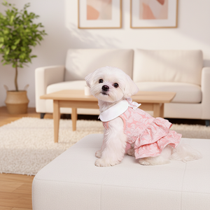Robe de princesse japonaise 3D à volants en dentelle florale pour chiens et chats, jupe de fête printemps-été pour animaux de compagnie, idéale pour Teddy et Bichon - Product Image 4