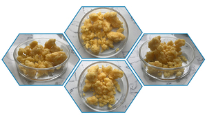 ปริมาณจำนวนมากการดูแลสุขภาพวัตถุดิบ <span class=keywords><strong>Phosphatidylcholine</strong></span> ผง - Product Image 6
