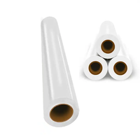 Meilleure Qualité Dtf Pet Film Rouleau 30cm 60cm Transfert Dtf Film pour Dtf Impression A3 Pet Film
