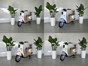 Minimoto de Moda 2025, Linda y Clásica, Potente, Velocidad de 80 km/h, Voltaje de 60 V, Motocicleta/Moto Todoterreno - Product Image 5
