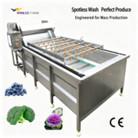 Wasmachine voor zoete aardappelen, fruit en groenten, reinigingsmachine voor bladgroenten, multifunctioneel voor groenteverwerkingsbedrijven