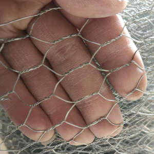 Malla Hexagonal Galvanizada por Inmersión en Caliente de 1/2 pulgada y <span class=keywords><strong>3</strong></span>/4 pulgada para Cercas de Aves de Corral y Rollos de Malla para Gallineros - Product Image 2