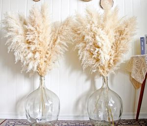 Herbe de la Pampa Naturelle Décorative – Série Très Demandée – Fleurs Séchées en Sac Plastique – Décoration du Nouvel An Chinois et de Pâques - Product Image 2
