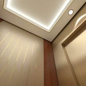 Ascenseur hydraulique pour passagers au design moderne pour intérieur/extérieur, maisons et villas, hôtels Otis - Product Image 5