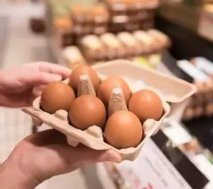 HOT SALE Egg Carton for Farm Fresh Eggs, Recycled Paper Cardboard, Sturdy & Reusable