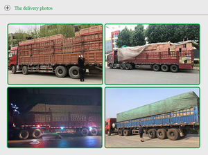 Tige suspendue en plastique argenté dispositif <span class=keywords><strong>de</strong></span> dissuasion des oiseaux réfléchissant brillant jardin décoratif effrayer les oiseaux comme des pics - Product Image 6