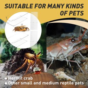 <span class=keywords><strong>Reptile</strong></span> Habitat Gecko Enclos Ermite Crabe Terrarium Tortue D'eau Réservoir Réservoir En Plastique pour <span class=keywords><strong>Reptile</strong></span> - Product Image 2