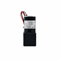 Pompa Tinta 3.3L 7W 24V Pompa Diafragma Mikro Motor Tanpa Sikat Pompa Tinta Udara untuk Mesin Cetak Inkjet DTF