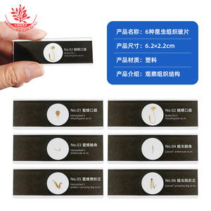 <b>Plastic</b> biological specimen <b>slides</b>, butterfly mouthparts, glass-like quality, with Chinese and English labels for biological - Product Image 2