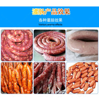 Machine de fabrication de saucisses d'oeufs de hot-dog de qualité alimentaire pour l'industrie électrique Remplisseuse automatique de saucisses de viande de poulet et de poisson