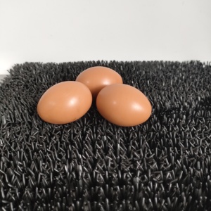 Chicken Nesting Box Chicken Nesting Pads For Laying Eggs Washable Easy To Clean And Cuttable Raising Poultry Manual Included Chicken Nesting Box Pad