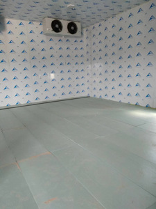 Small Medium Large Size Walk-in Chiller Freezer Copeland Low Noise Customizable Dimensions for Commercial Frozen Food Storage - Product Image 5