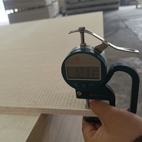 Panneaux MGO polyvalents, ignifuges, résistants à l'eau, 12 mm, sans amiante, en oxyde de magnésium, pour la construction de bâtiments commerciaux