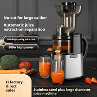 Volautomatische Huishoudelijke Kleine Juicer Sap Pulp Scheiding Multi-Functionele Fruit Juicer Pp Plastic Easy Sap Extractor