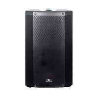 Haut-parleur actif à gamme complète de 15 pouces alimenté par batterie, 300 W, classe D, DSP, enceinte portable pour café, parc, événement