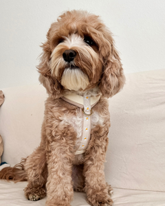 Maßgeschneidertes Haustiergeschirr in Hellbeige mit Goldenen Metallschnallen und Süßer Dekoration mit Gelben Punkten, Hundegeschirr aus Oxford-Mesh-Gewebe - Product Image 4