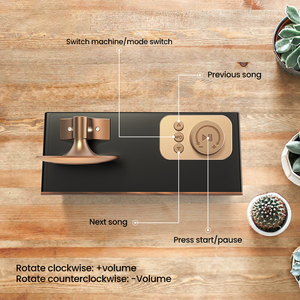 B6 Loa Retro Gỗ Hạt Loa Siêu Trầm Không Dây Đài Phát Thanh Di Động Điện Thoại Di Động Đứng Mini Âm Thanh Sừng Loa - Product Image 3