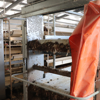 Cage de rehoussement galvanisée à chaud pour élevages de poules pondeuses de grande capacité, cages en acier pour animaux faciles à contrôler pour fermes, prix usine