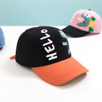 Gorras de béisbol de algodón con estampado de dinosaurio para bebé, gorros con bordado de dinosaurio personalizado, moda de verano