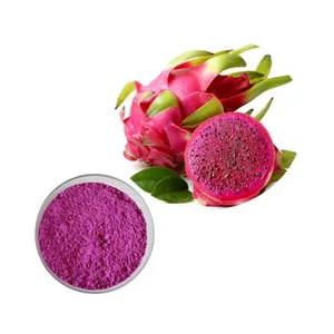 Longze Freeze Dried Pitaya Powder Pitaya Extract Dried Dragon Fruit Extract Powder Supplier