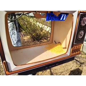 ที่ให้อาหารนก BirdTv แบบแขวนไม้ ขนาดกลาง สำหรับสวน ลานบ้าน ให้อาหารนกป่า - Product Image 2