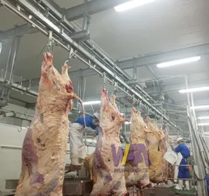 Dịch Vụ Tốt Gia Súc Abattoir Halal Máy Giết Mổ Băng Tải Chảy Máu Cho Máy Giết Mổ