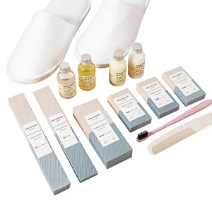 Kit de Baño Desechable para Hotel/Apartamento, Directo de Fábrica, con Cepillo de Dientes, Pasta Dental y Artículos de Aseo en Caja - Product Image 1